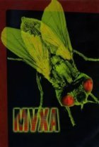  Муха 