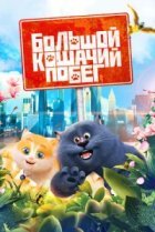  Большой кошачий побег 