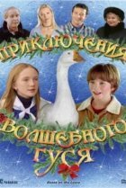  Приключения волшебного гуся 