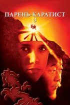  Парень-каратист 3 