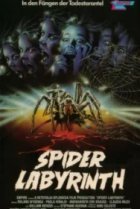  Гнездо пауков 