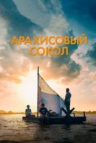  Арахисовый сокол 