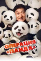 Операция «Панда»