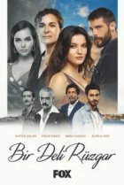  Сумасшедший ветер 