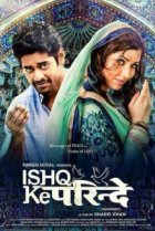  Любовь не знает границ 