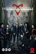  Сумеречные охотники 