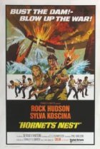  Гнездо шершней 