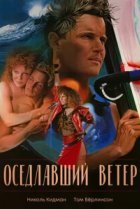  Оседлавший ветер 