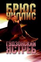  Гудзонский ястреб 