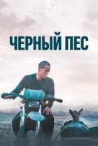  Чёрный пёс 