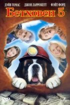  Бетховен 5 