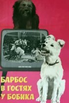  Барбос в гостях у Бобика 