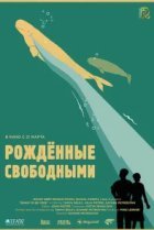  Рожденные свободными 