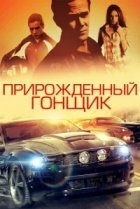  Прирожденный гонщик 