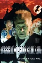  Дневной представитель 