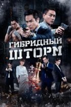 Гибридный шторм