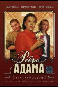  Ребро Адама 