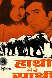  Слоны — мои друзья 