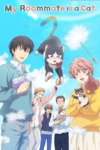  Домашний питомец, иногда сидящий на моей голове 