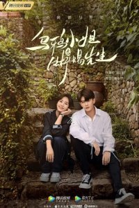  Мисс Ворона и мистер Ящерица 