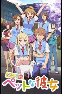  Кошечка из Сакурасо 