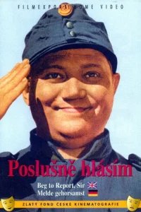  Швейк на фронте 