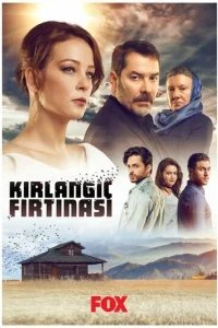  Шторм ласточки 