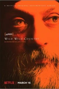  Дикая-дикая страна 