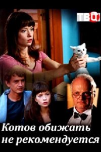  Котов обижать не рекомендуется 