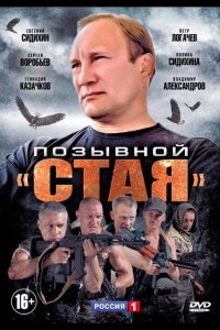  Позывной «Стая» 