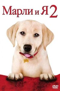  Стромболи, земля Божья 