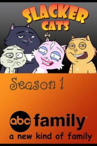  Домашние коты 