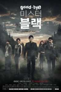  Прощайте, мистер Блэк 