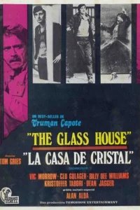  Стеклянный дом 