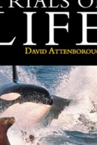  BBC: Борьба за выживание 