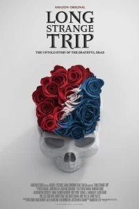  Долгое странное путешествие 