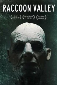  Енотова долина 38523 