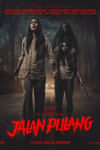 Дорога домой