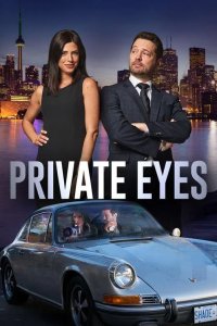  Частные сыщики 