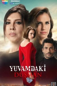  Враг в моём доме 