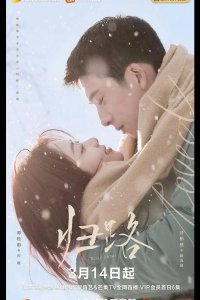  Дорога домой 