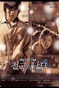  Райское дерево 