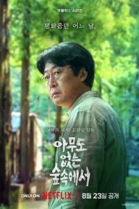  В лесу, где никого нет 