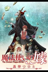  Невеста чародея: В ожидании путеводной звезды 