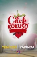  Запах клубники 