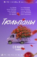  Тюльпаны 