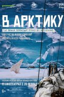  В Арктику 