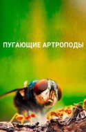  Пугающие артроподы 