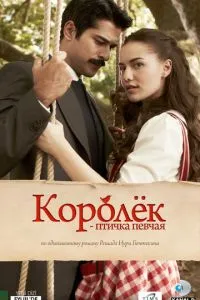 Королёк - птичка певчая 1-2 сезон