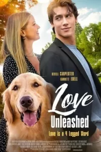 Постер к сериалу В поисках любви 1-2 сезон